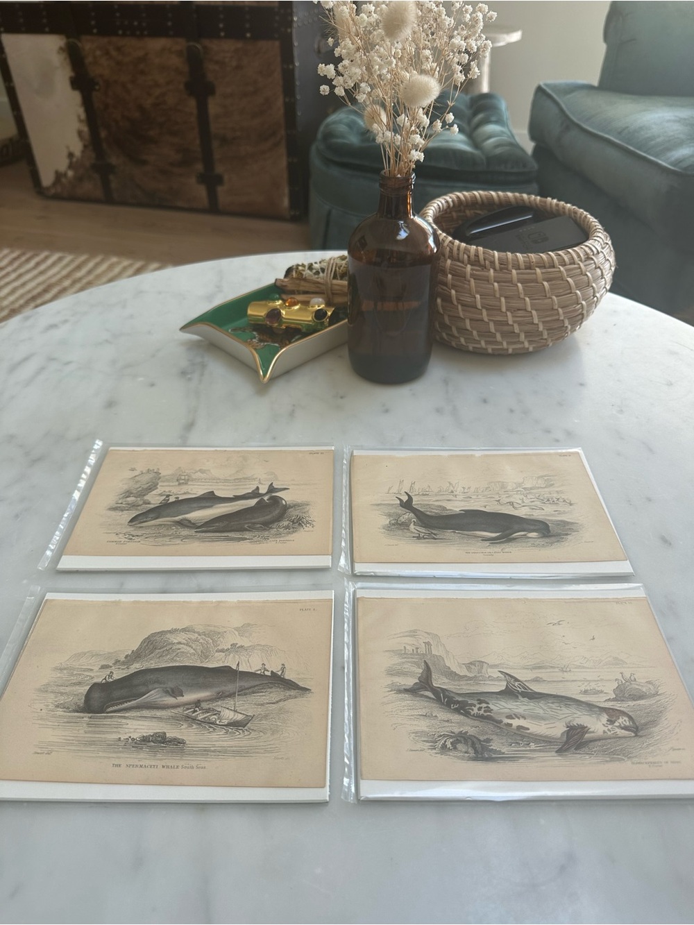 1800s Jardine’s The Naturalist’s Library Chromolithographs Rare Whales